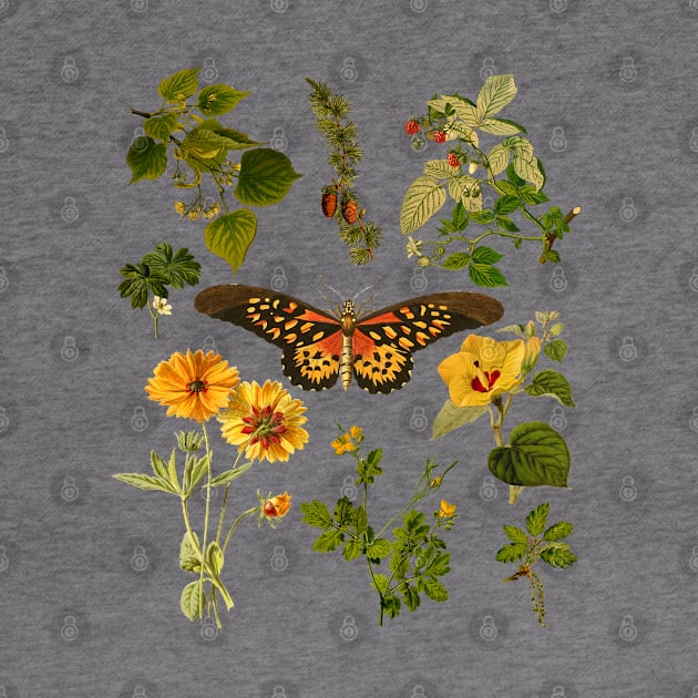 Cottagecore Vintage Plants and Butterfly by Souls.Print